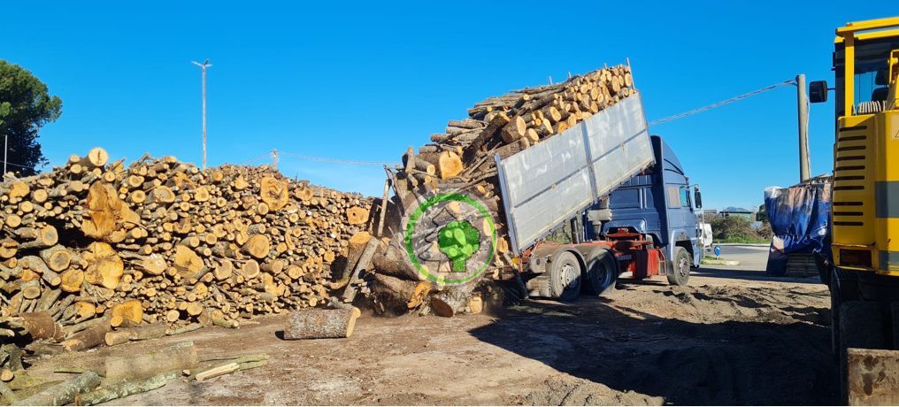 Un camion ribaltabile blu scarica un grosso mucchio di legna da ardere vicino a un'enorme catasta di legno in un terreno sterrato sotto un cielo azzurro e limpido.