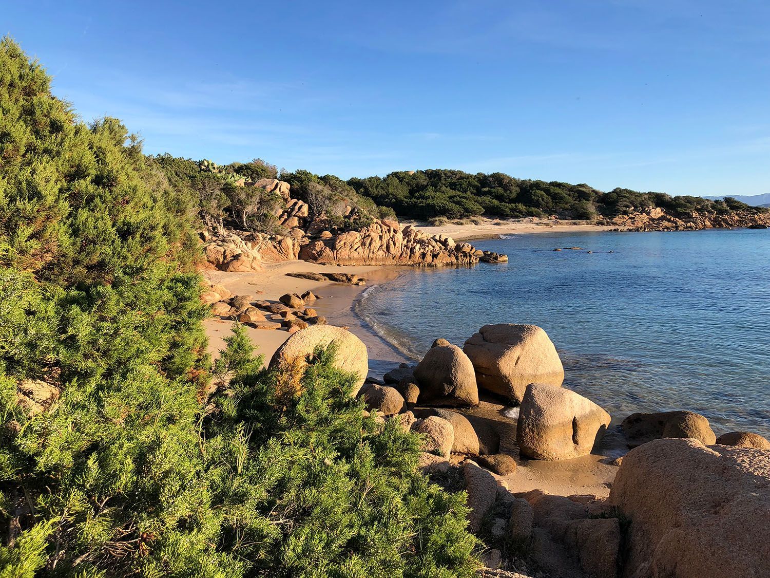 una spiaggia con rocce e alberi e un cielo azzurro