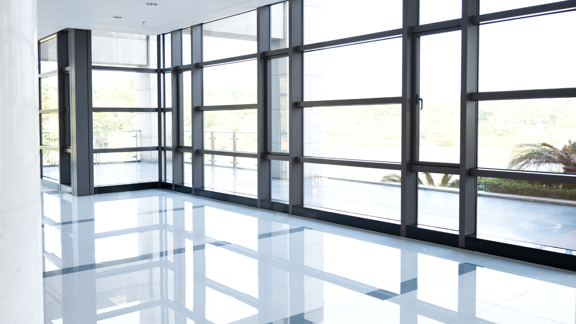 window cleaning services