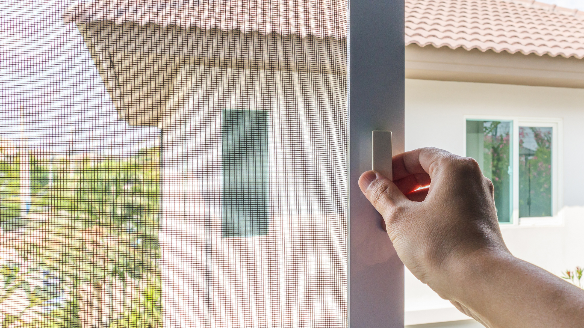 window cleaning services