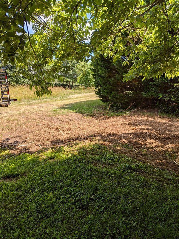 Land Clearing