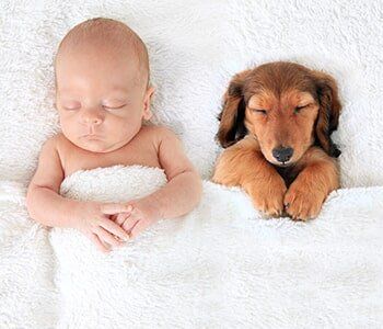 Animal Hospital — Newborn baby and puppy in Lake Forest, IL