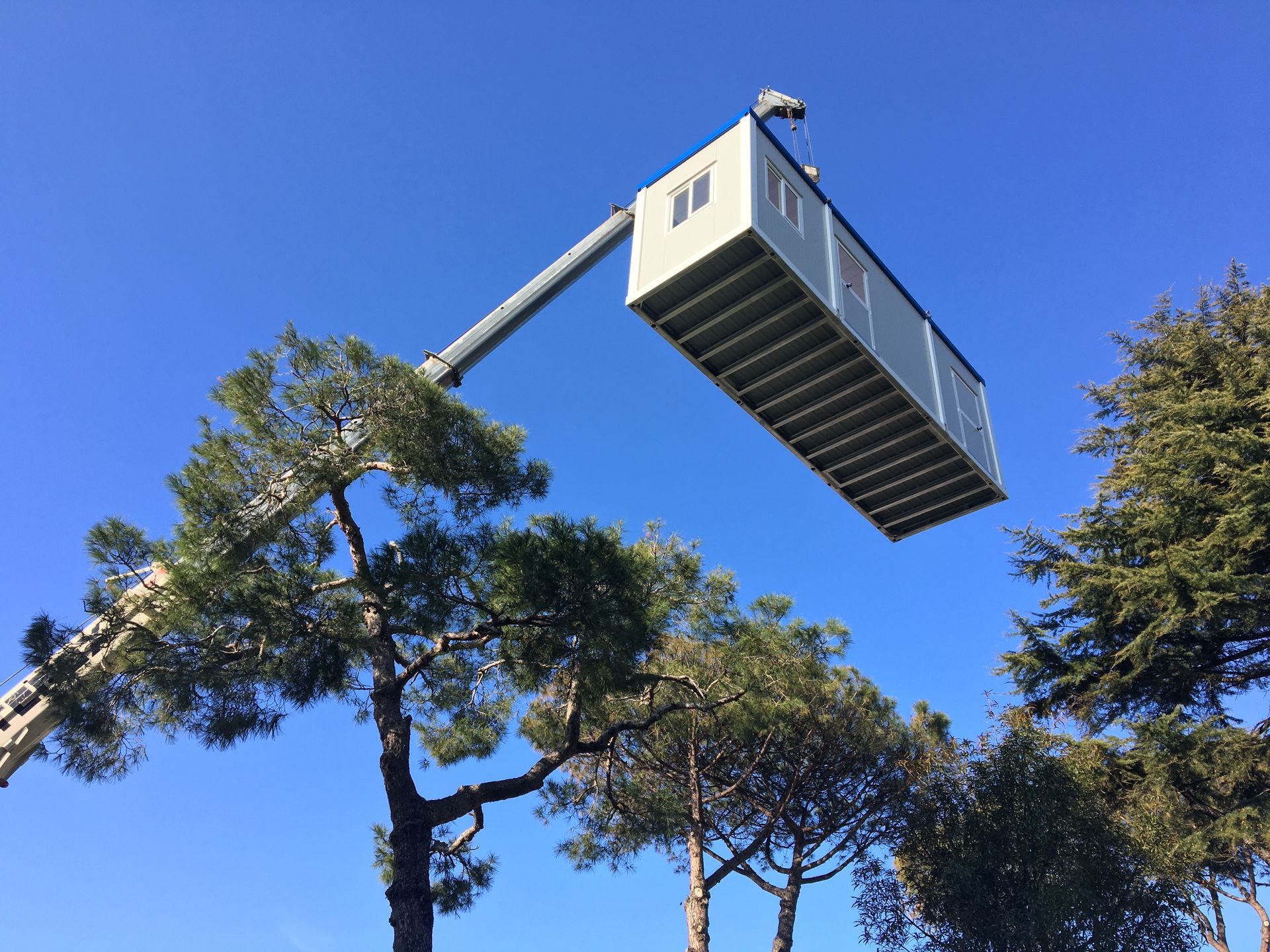 Un container viene sollevato in aria da una gru.