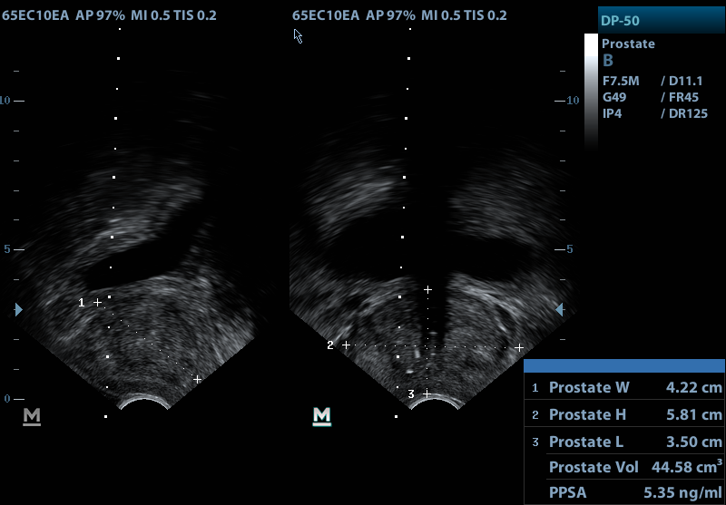 Urology Associates Forte Health