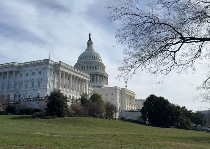 The United States Capitol building under a blue sky, viewed from a grassy hill with trees in the foreground.