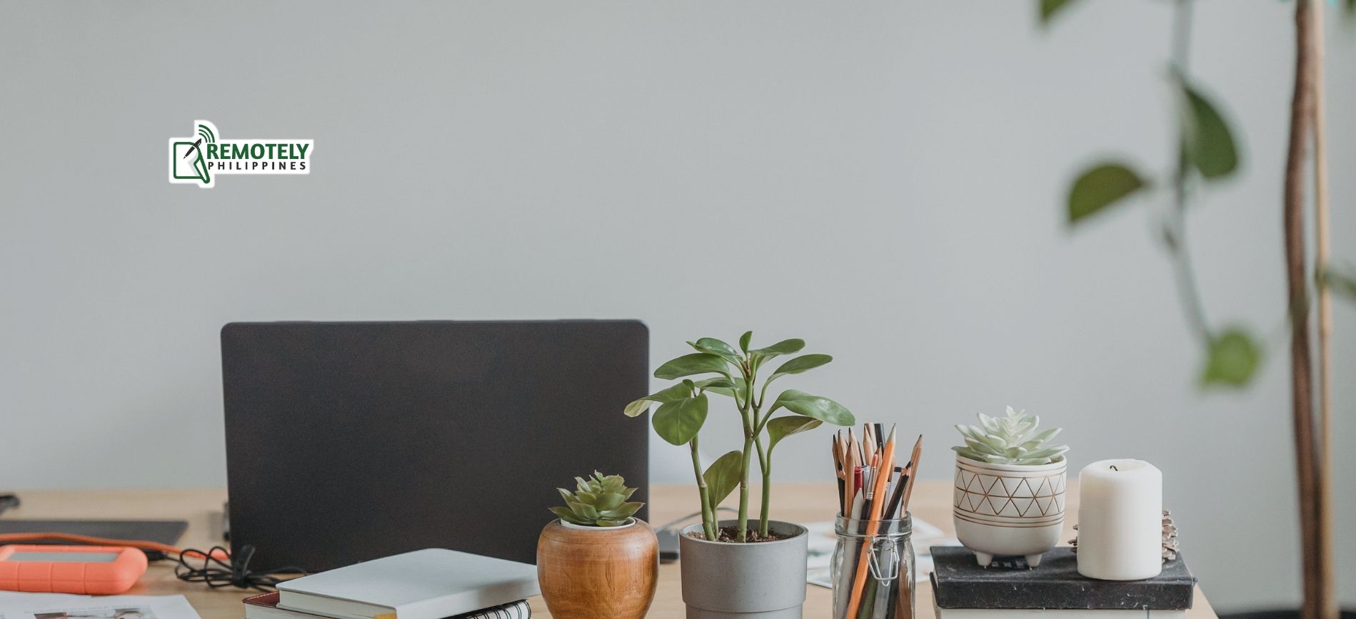 A desk with a laptop and potted plants on it.