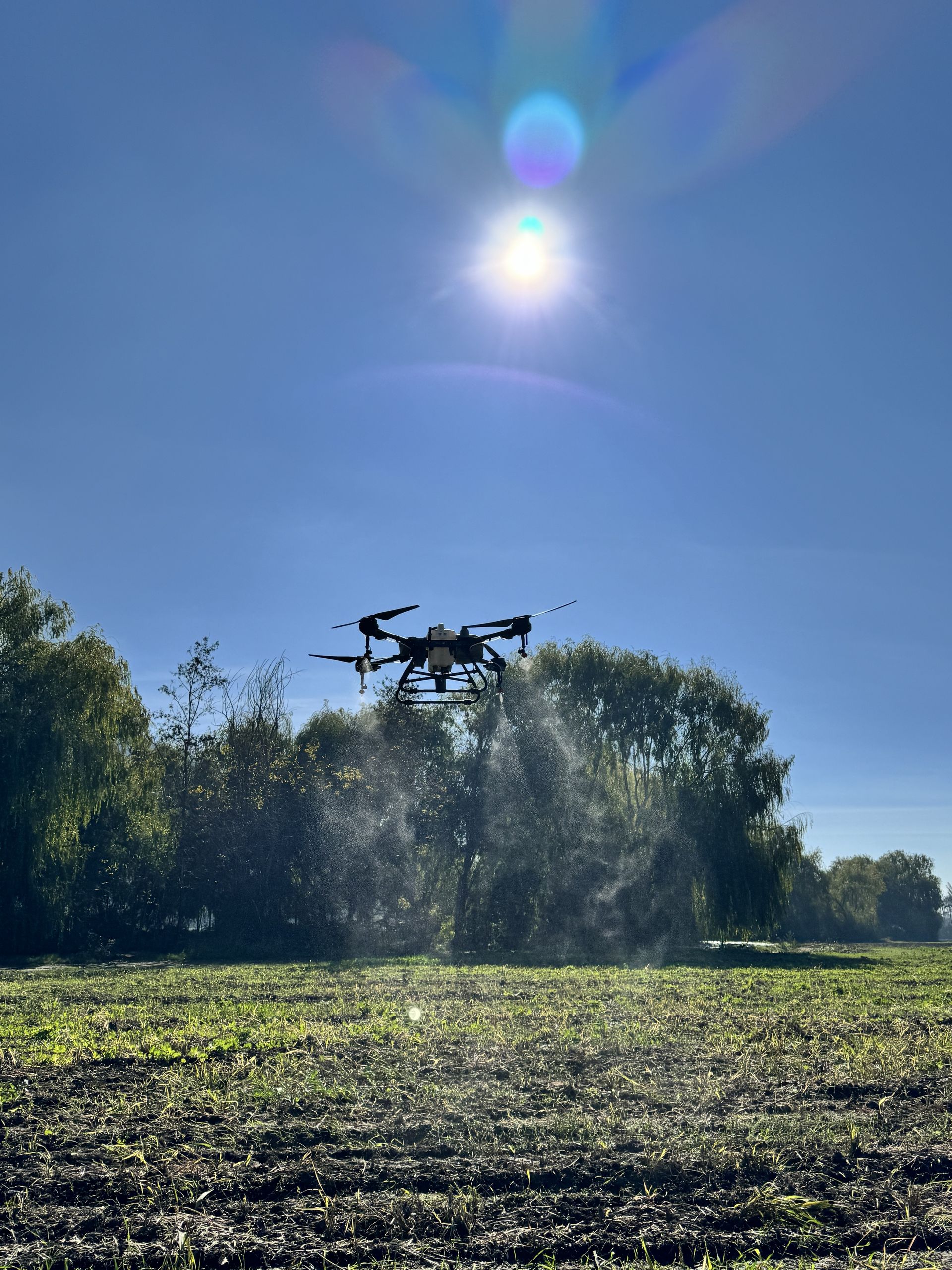 Un dron fumiga cultivos en un campo. Plantas verdes, niebla en el aire y colinas al fondo.