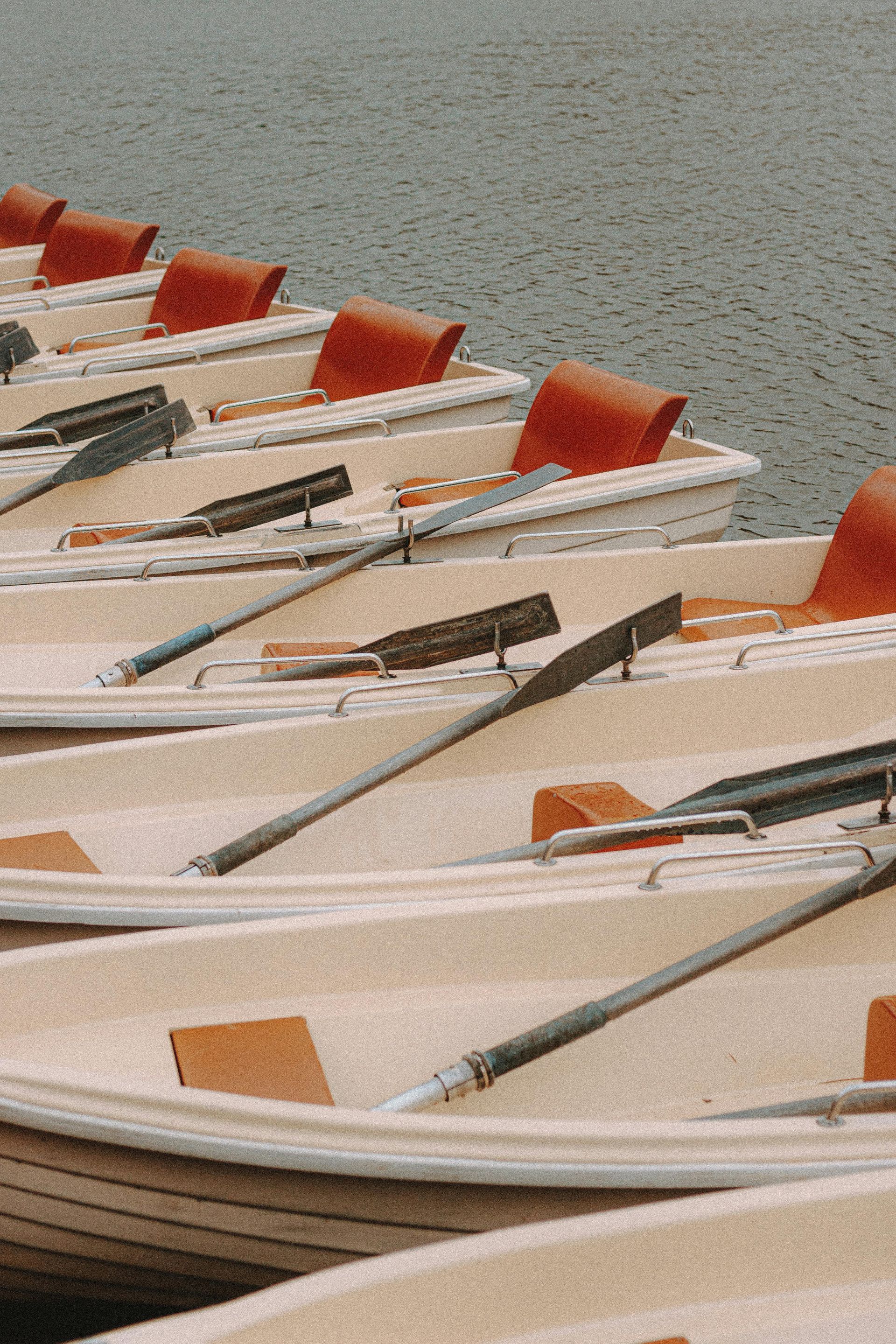A row of boats with oars in the water.