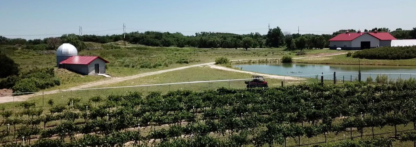 Kansas Winery, Winery in Kansas,  Things to do in Hutchinson KS,  Hutchinson KS Winery, Kansas Wine, Inland Ocean Vineyards