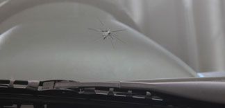 Auto Glass Quote | Harrisburg, PA | Capital Auto Glass