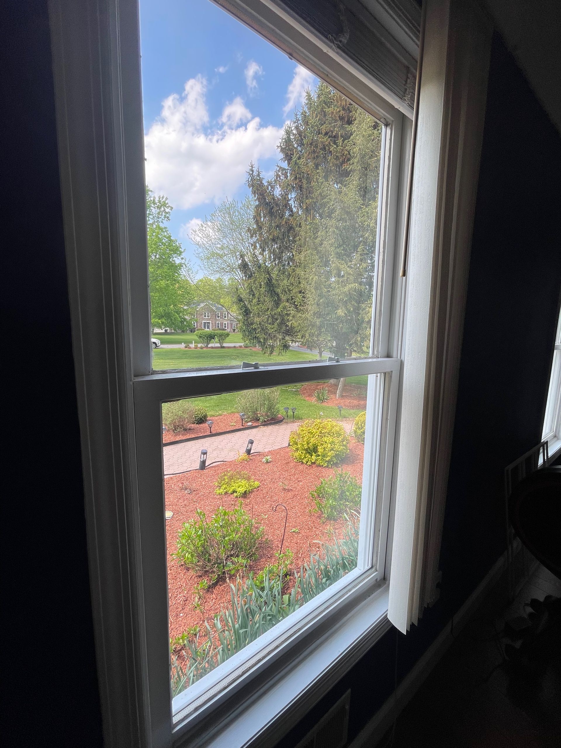 A window with a view of a garden and trees