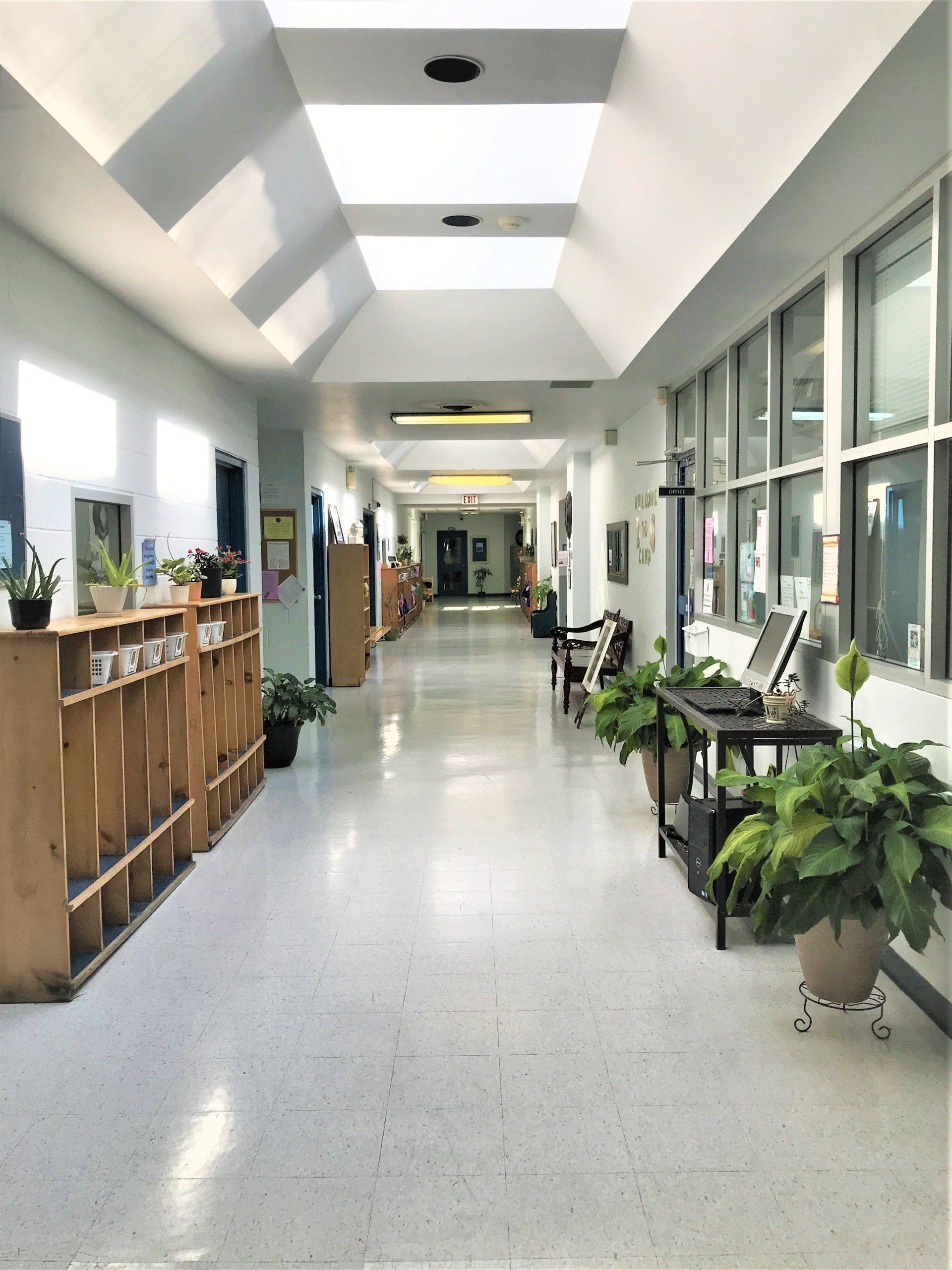 A long hallway with a lot of windows and plants on the floor.