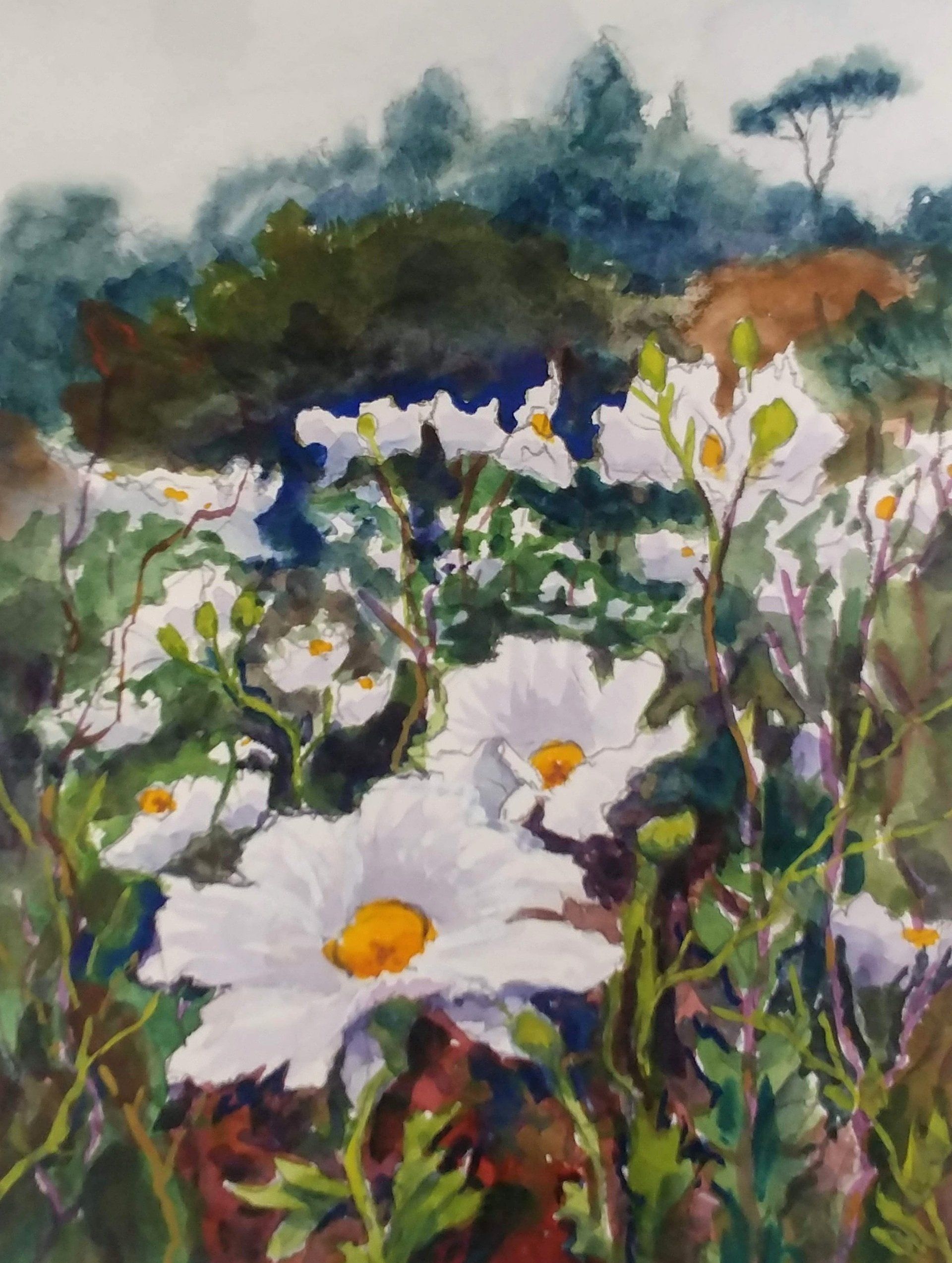 Matilija Poppies painting Robert Sherrill workshops