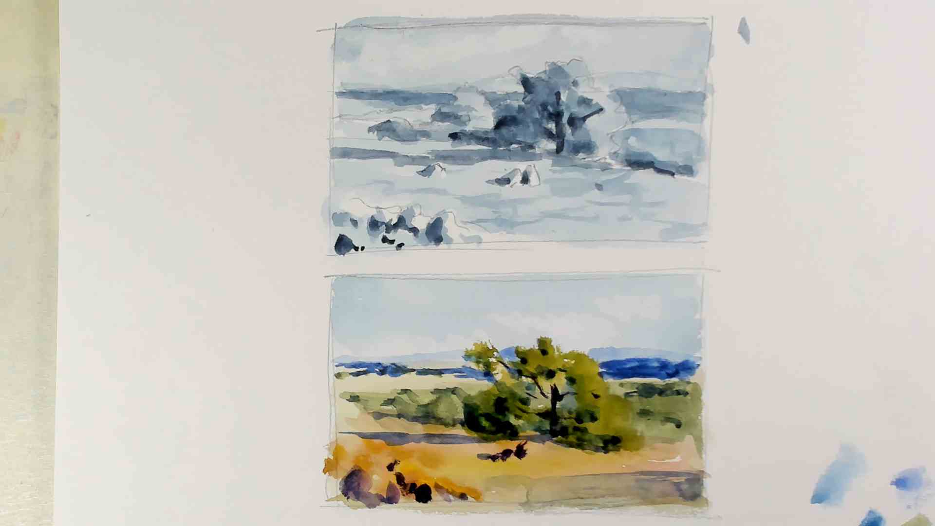 Santa Rosa Oak watercolor painting process study