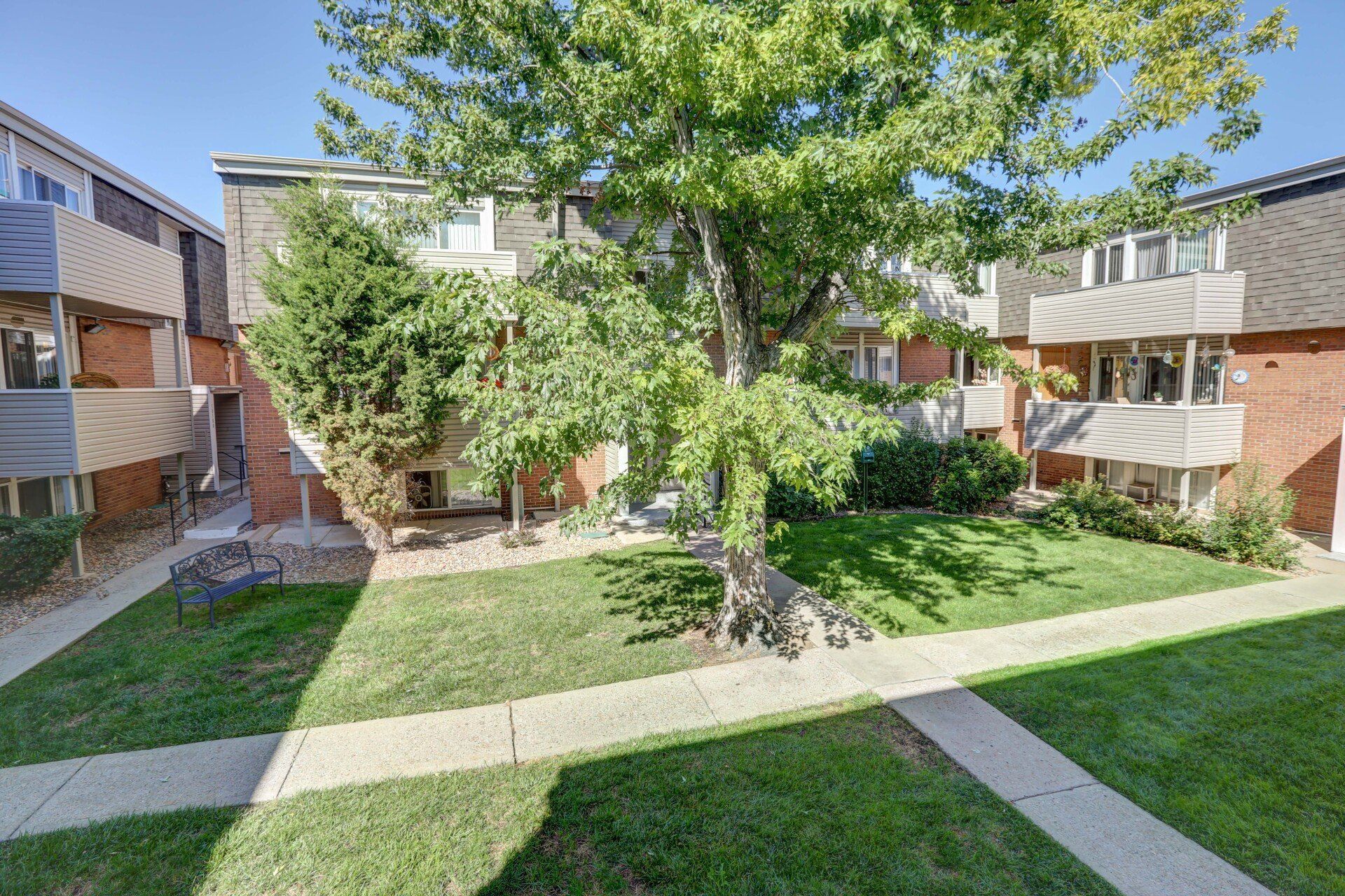 There is a tree in the middle of the courtyard between two buildings.