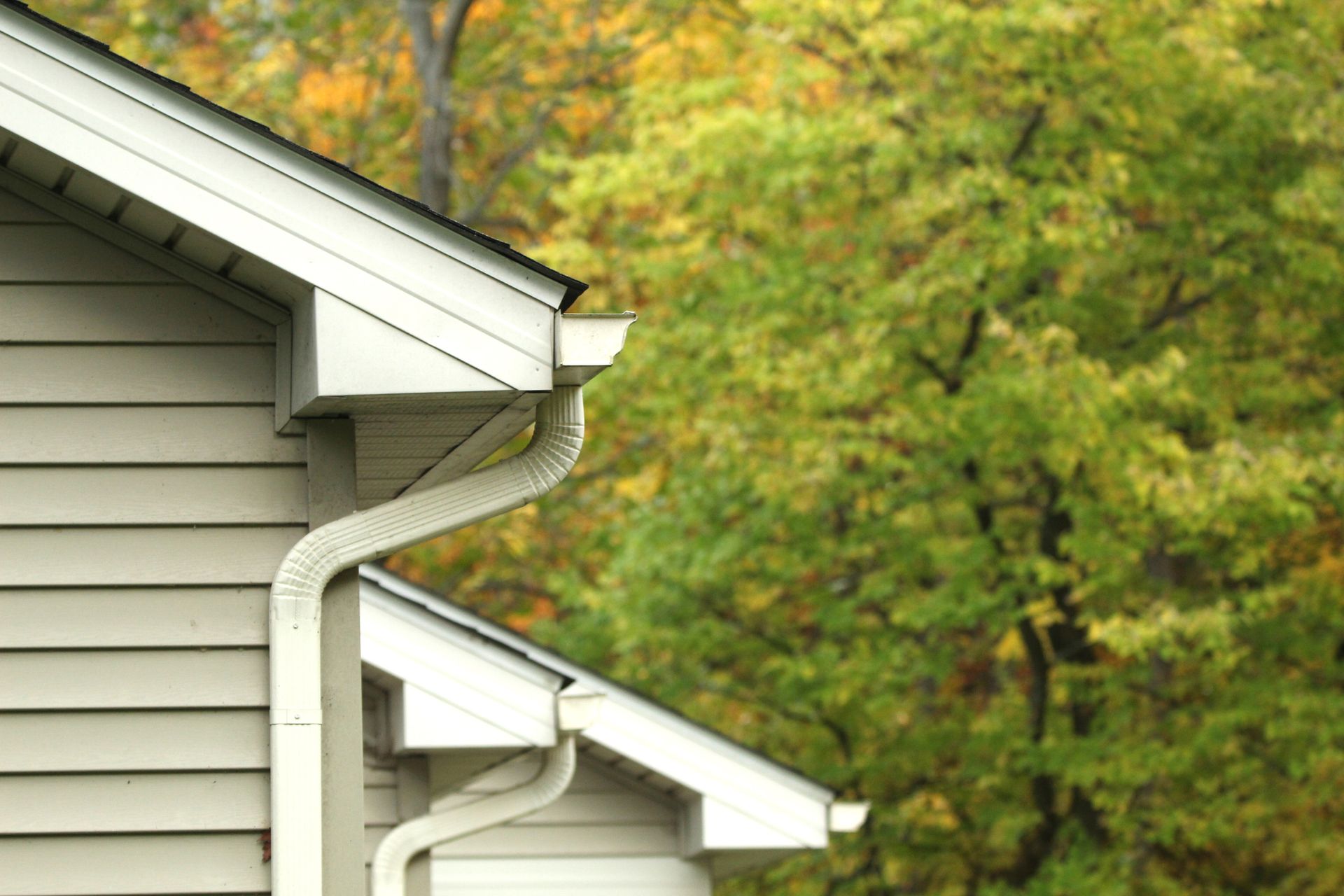 White gutters and downspout on a light-colored house against a blurred backdrop of green and yellow trees.