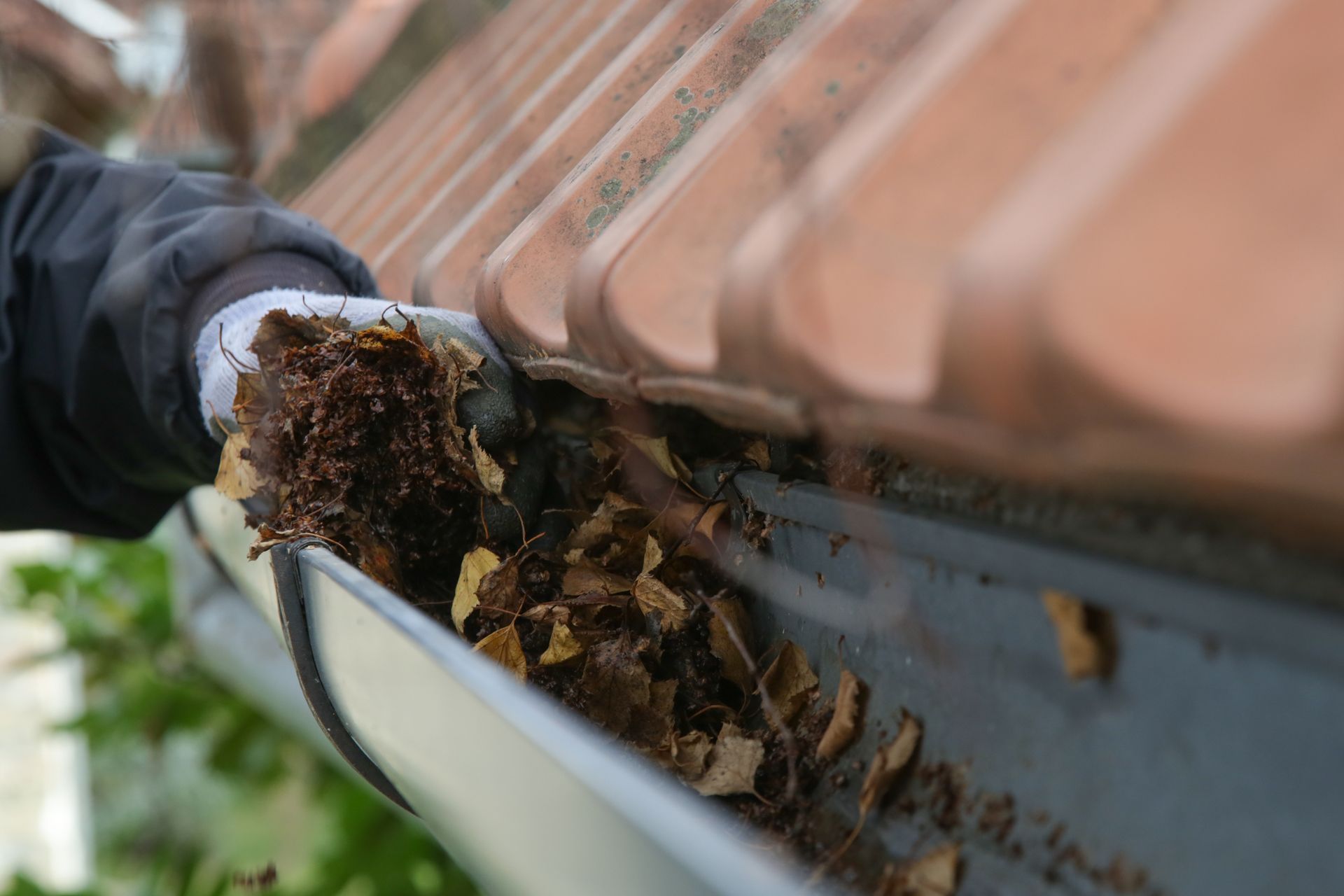 Person cleaning a rain gutter filled with leaves and debris, close-up shot.