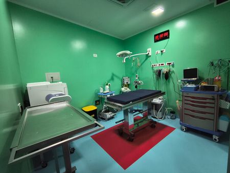 ambulatorio veterinario, assistenza veterinaria, servizi veterinari ambulatorio veterinario, assistenza veterinaria, servizi veterinari