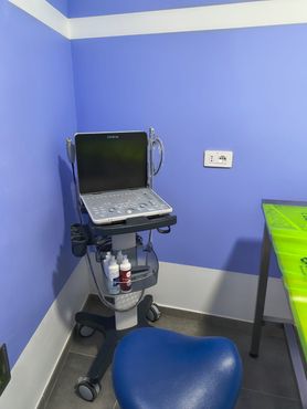 ambulatorio veterinario, assistenza veterinaria, servizi veterinari ambulatorio veterinario, assistenza veterinaria, servizi veterinari