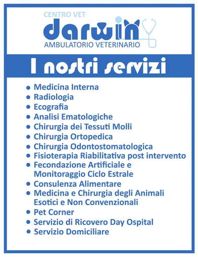 ambulatorio veterinario, assistenza veterinaria, servizi veterinari ambulatorio veterinario, assistenza veterinaria, servizi veterinari
