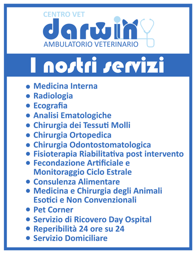 ambulatorio veterinario, assistenza veterinaria, servizi veterinari