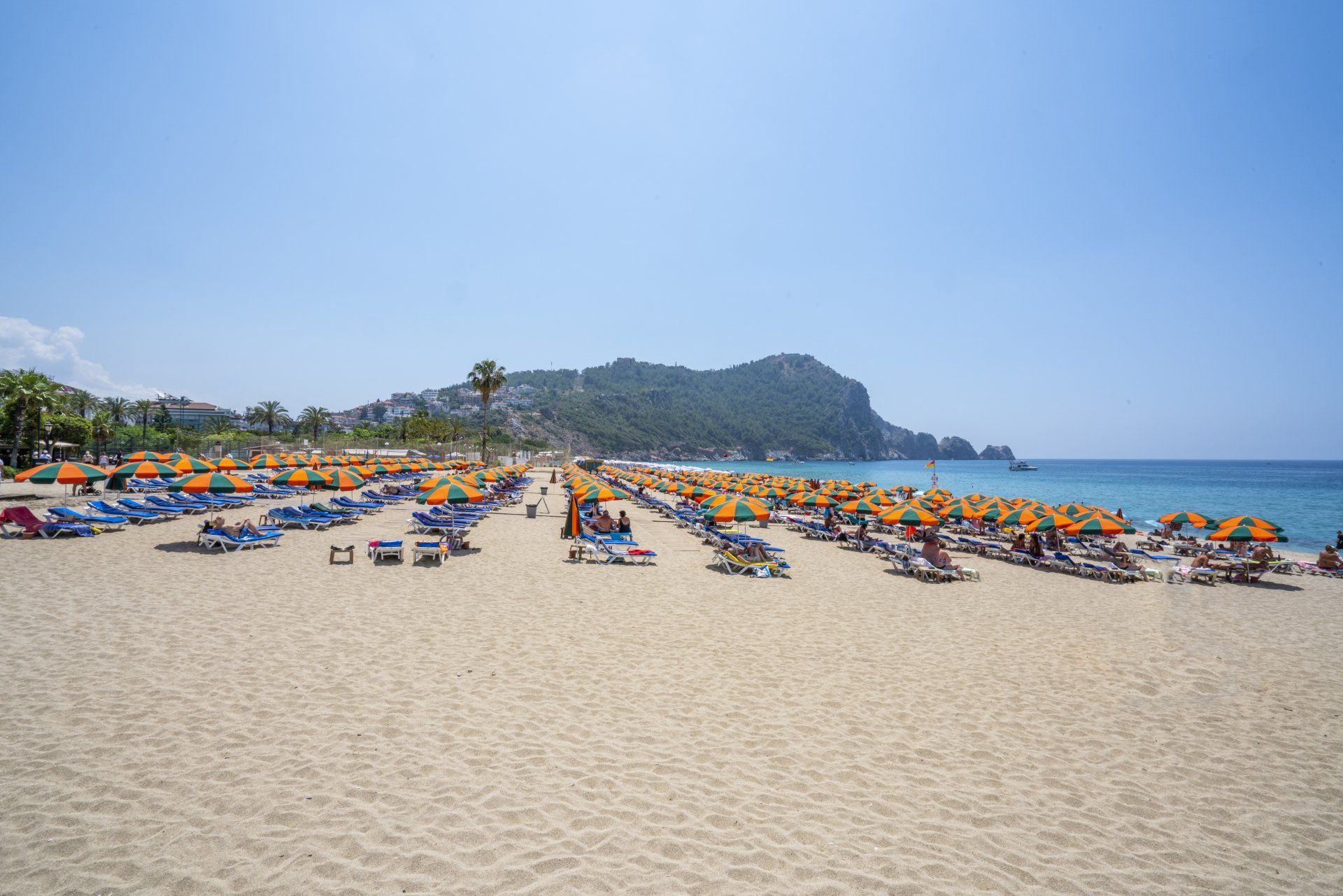 Gardenia Hotel Galeri