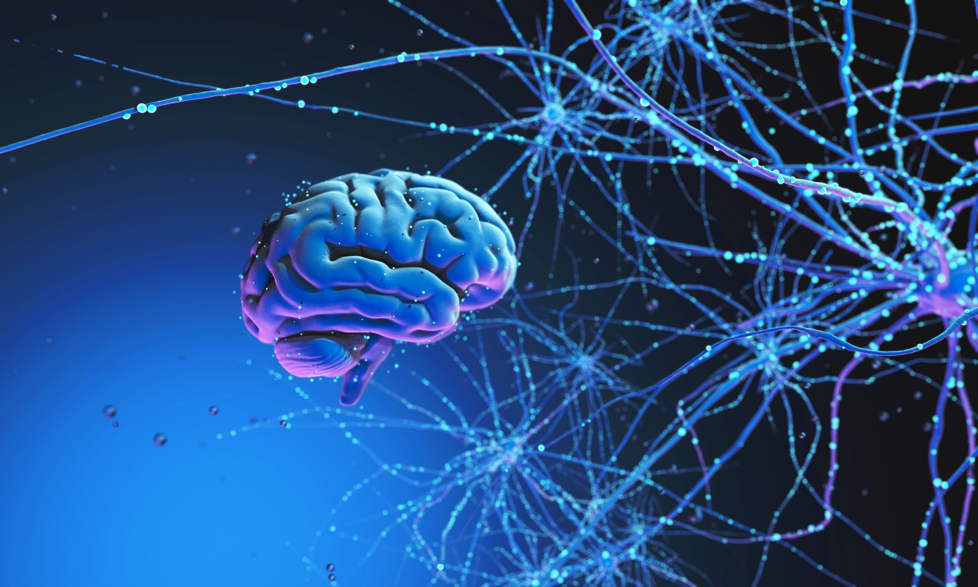 A computer generated image of a brain and nerve cells.
