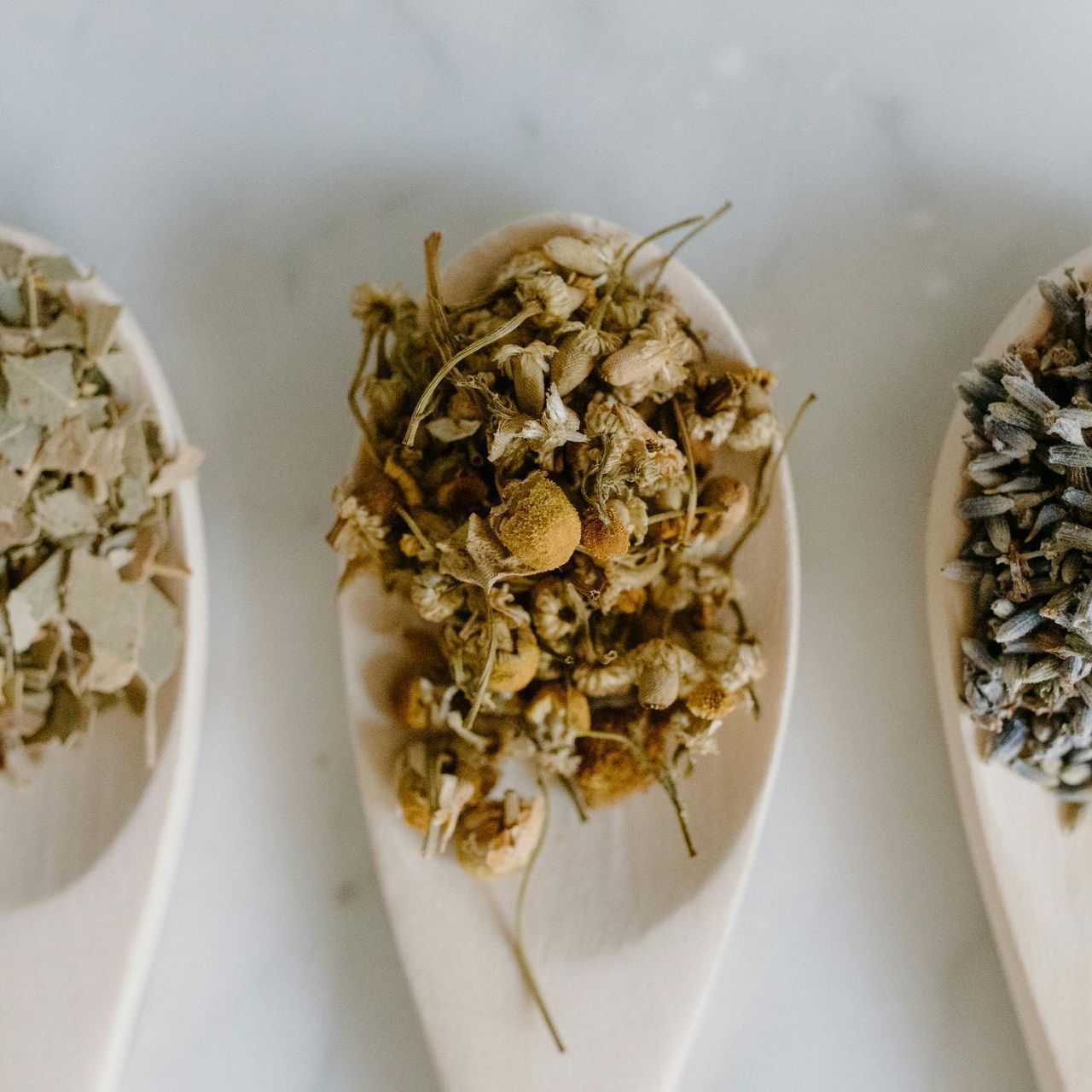 Three wooden spoons filled with different types of dried herbs