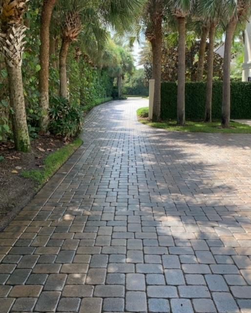 A brick driveway with palm trees on both sides