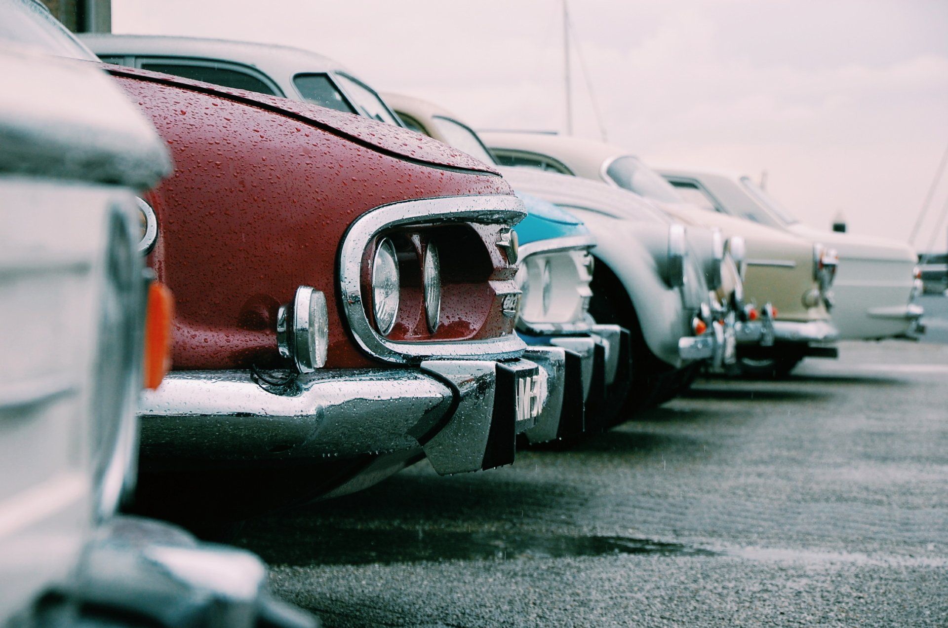 Tail view of seven vintage cars
