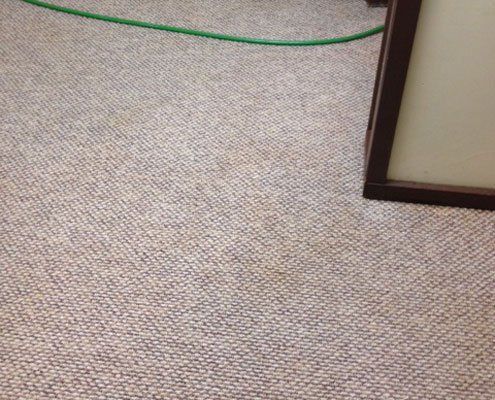 A carpeted floor with a green hose hanging from it.