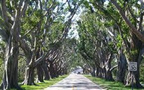 Bridge Road in Hobe Sound
