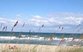 A view of a beach from a sand dune with sea oats in the foreground.