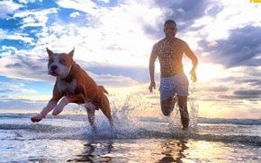 Man and Dog on Beach
