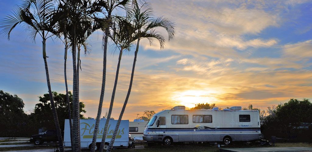 A rv is parked next to palm trees at sunset.