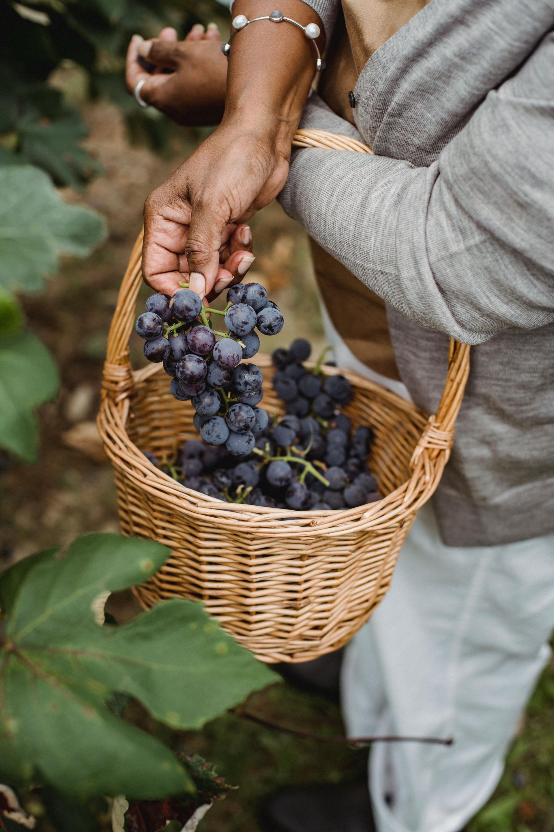 lavoratore agricolo stagionale