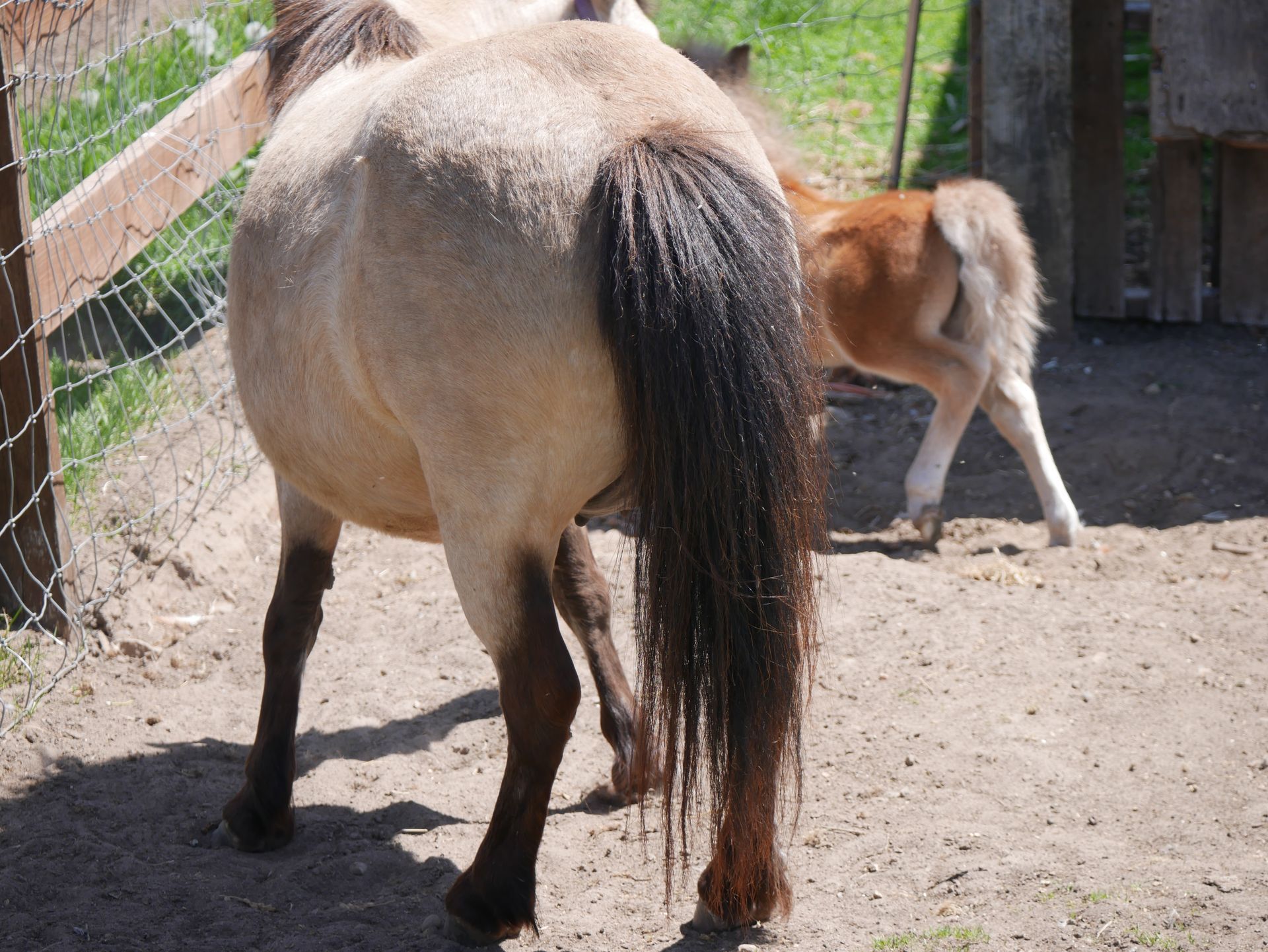 Lakes Edition's Photo of the Day