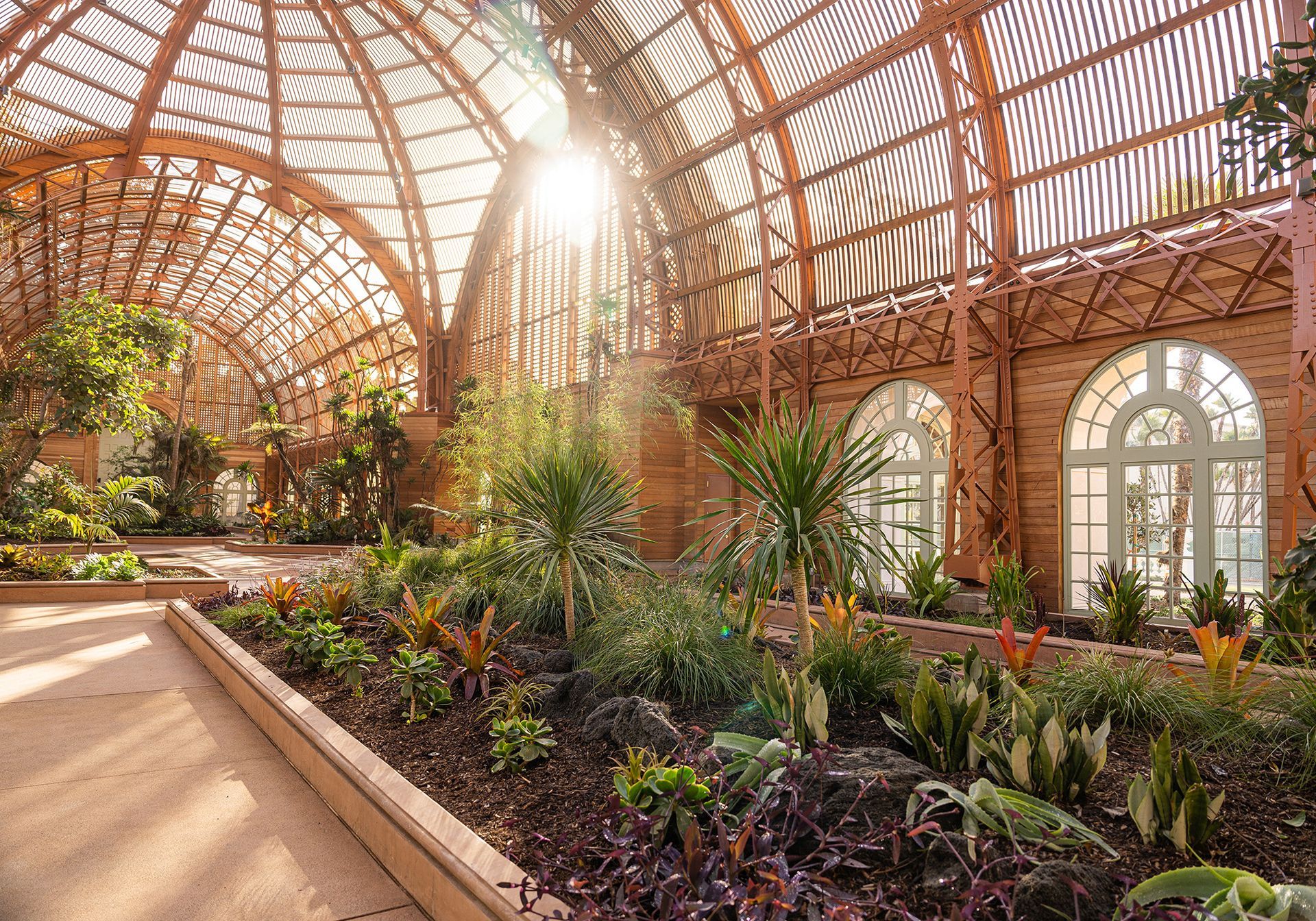 The sun is shining through the windows of a greenhouse filled with lots of plants.