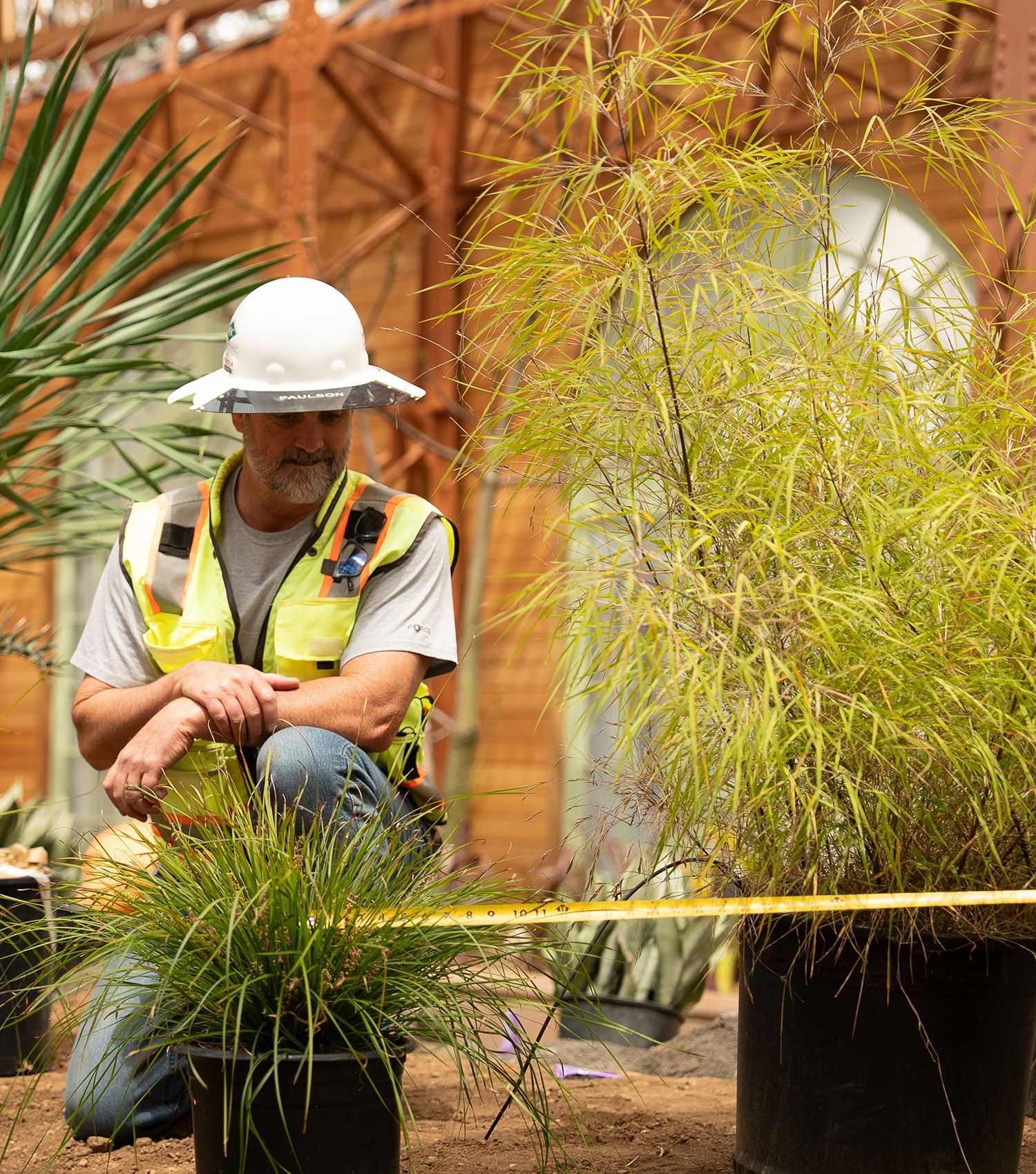 A man wearing a hard hat and safety vest is kneeling next to potted plants.