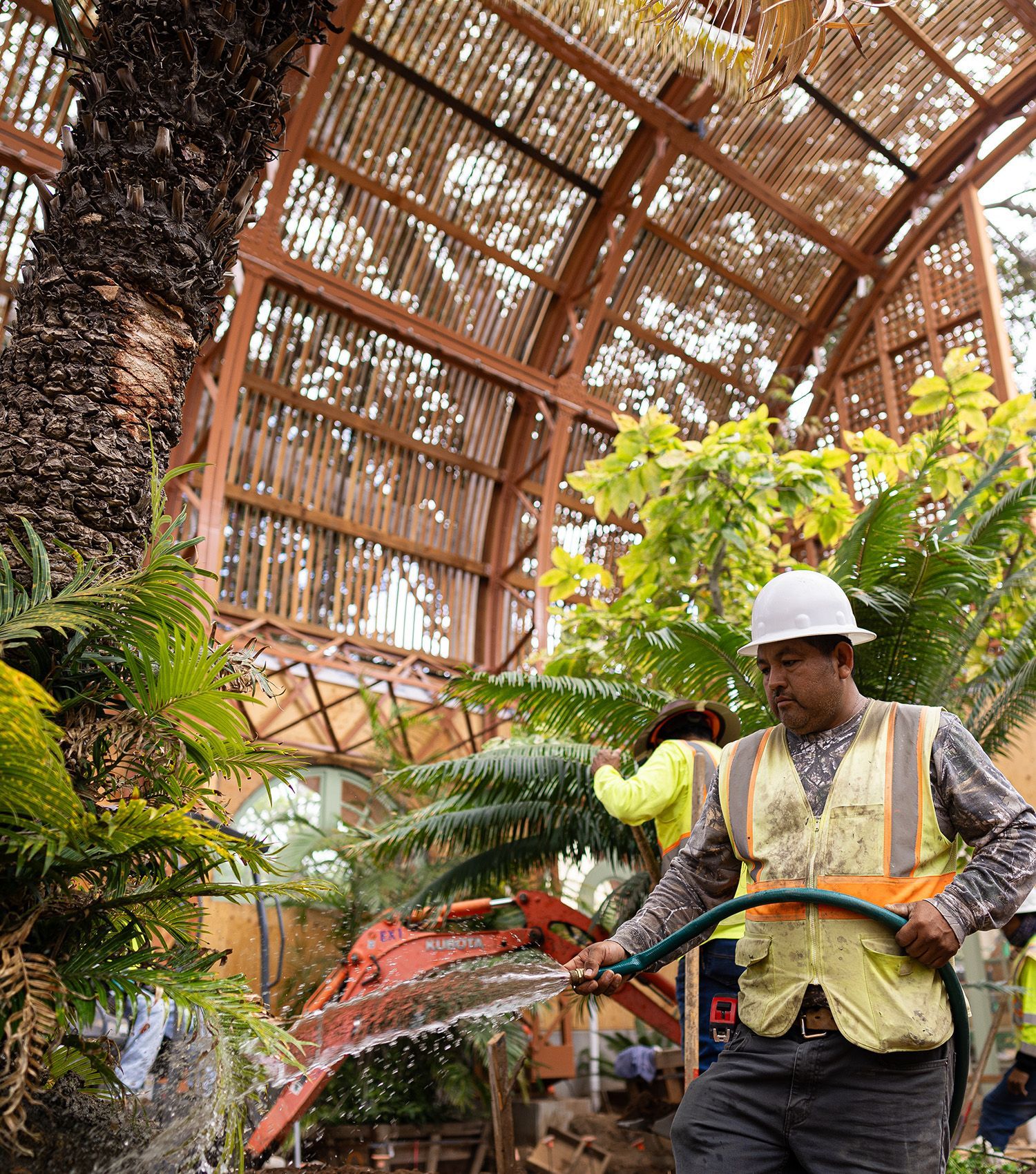 A man in a hard hat is watering plants with a hose.