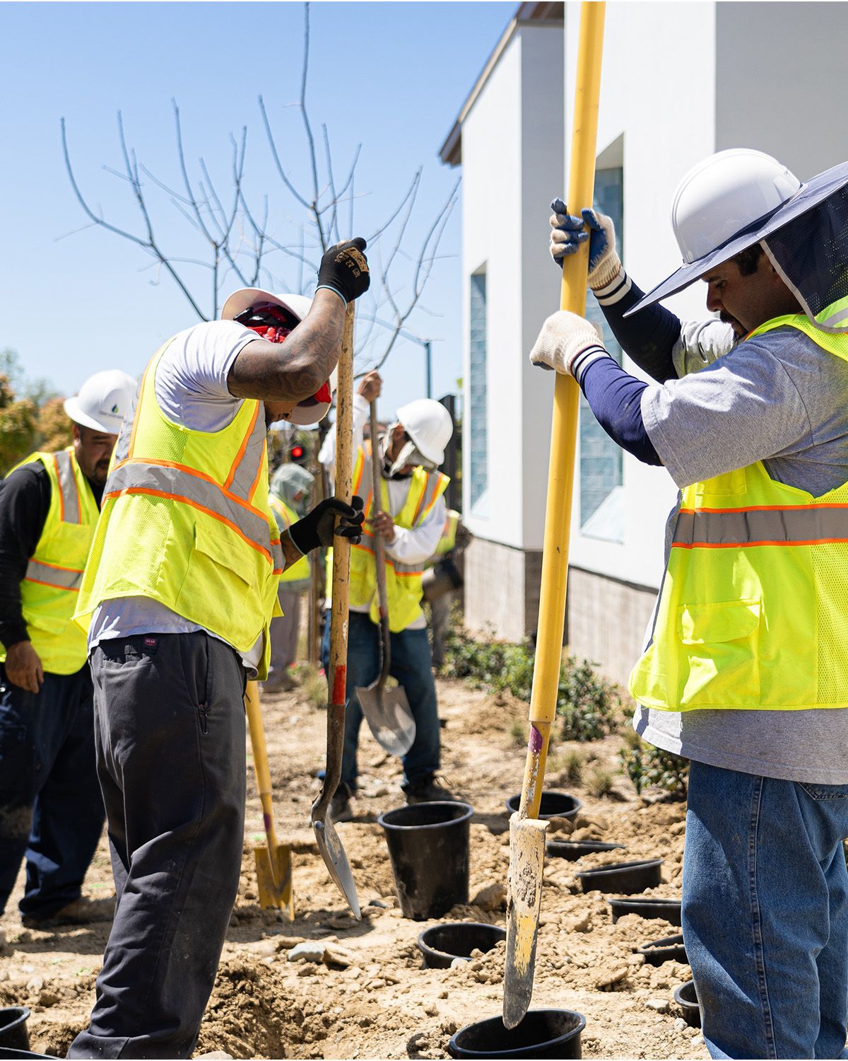 A group of construction workers are digging in the dirt