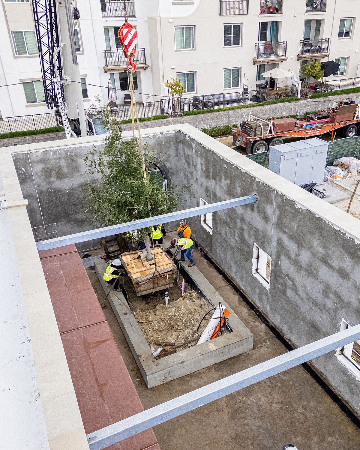A group of construction workers are lifting a tree into a hole.