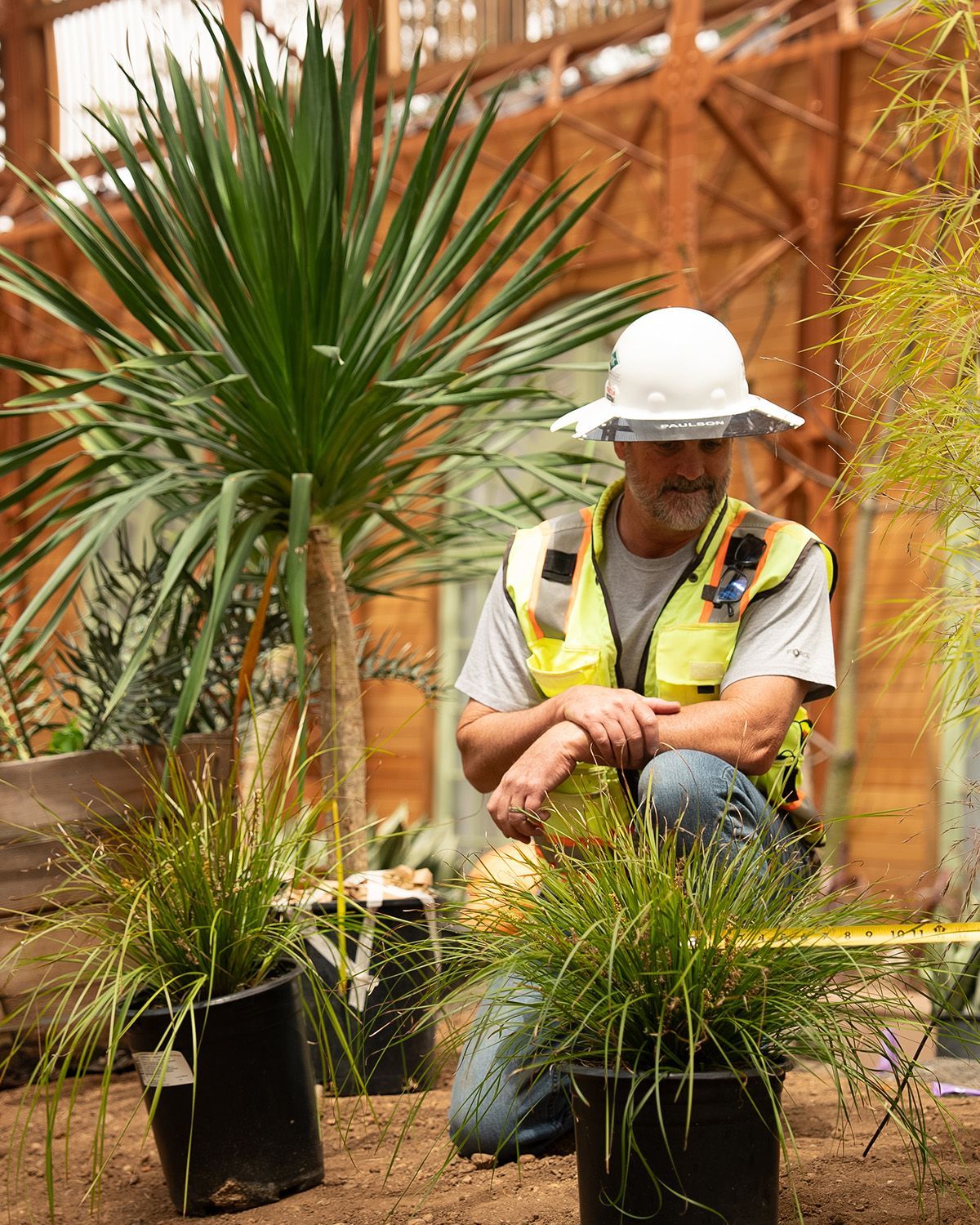 A man wearing a hard hat and safety vest is kneeling next to potted plants.