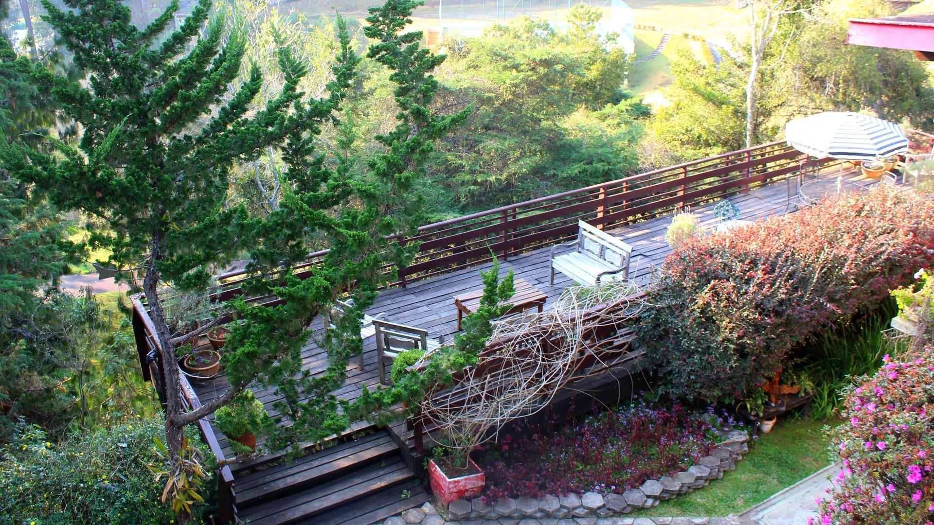 Uma vista aérea de um jardim com um deck de madeira cercado por árvores.- Pousada Benevento