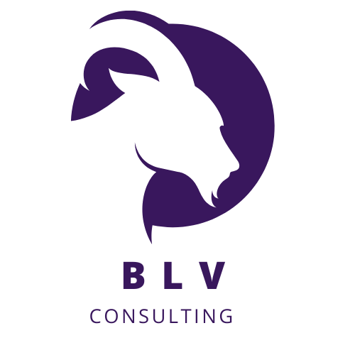 blv consulting logo