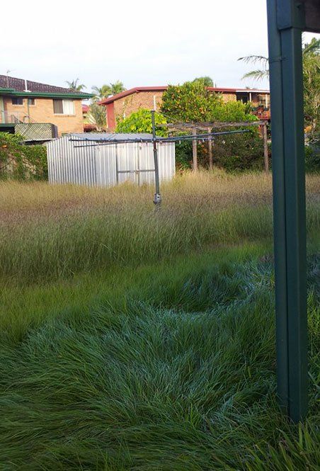 Backyard needs mowing service — Garden Maintenance in Gladstone, QLD