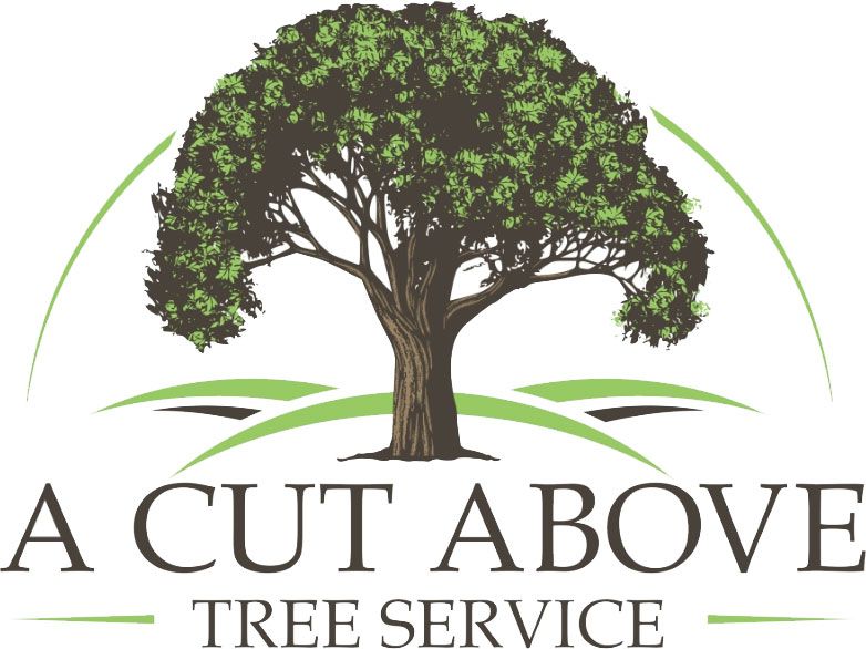Logo for "A Cut Above Tree Service" featuring a tree with green foliage, brown trunk, and green arched lines over green fields.