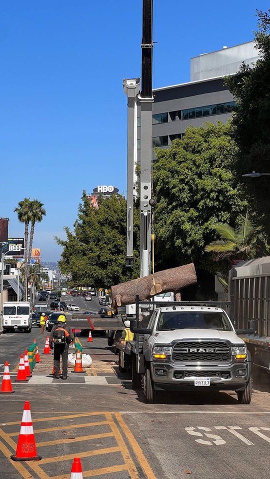 A truck crane lifting a large log on a city street. Workers in safety vests and cones are present.