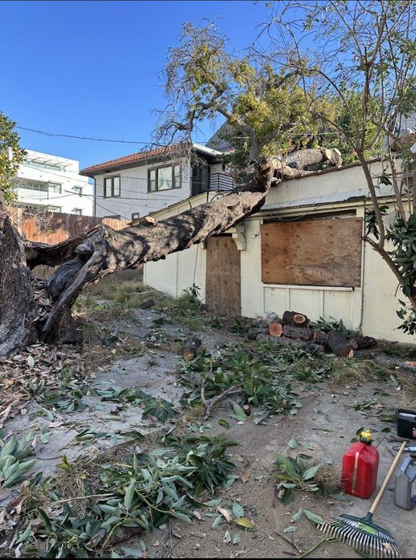 Tree fallen on a house; roof damaged. Debris scattered in a yard. Sunny day, building with boarded windows.