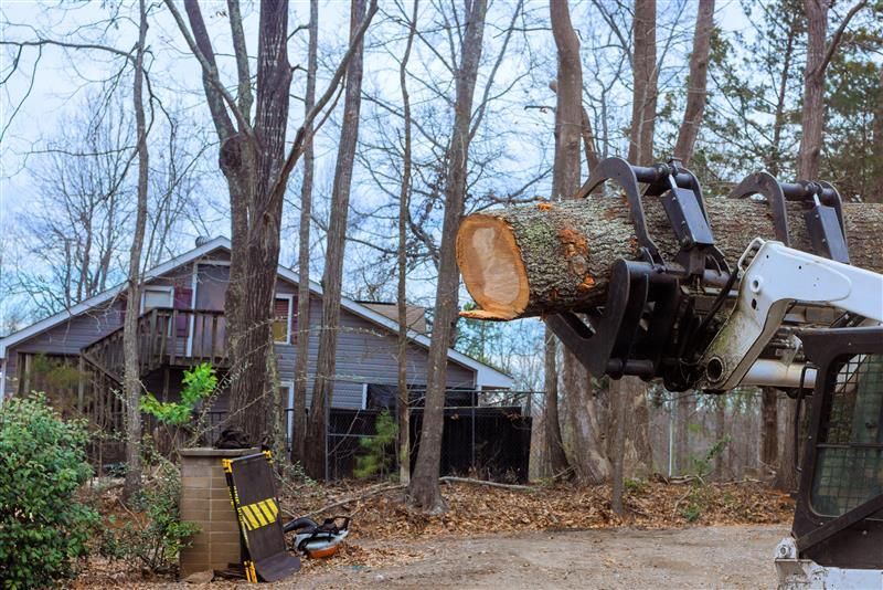 Skid steer lifting a large cut tree trunk near a gray house in a wooded area.